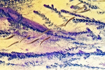 N 053A